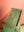 Pistachio Green & Red Vintage Wall Showcase